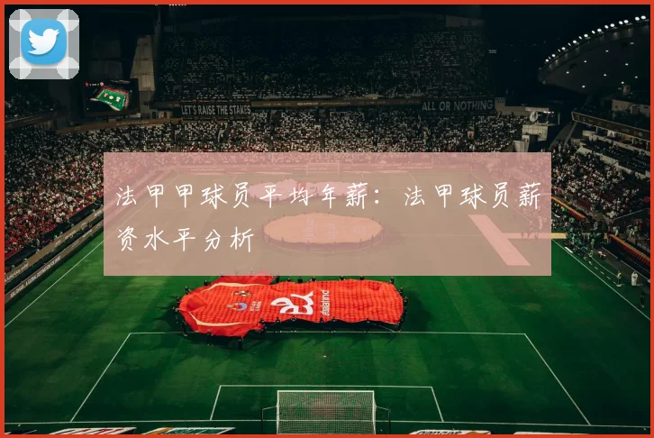 法甲甲球员平均年薪：法甲球员薪资水平分析