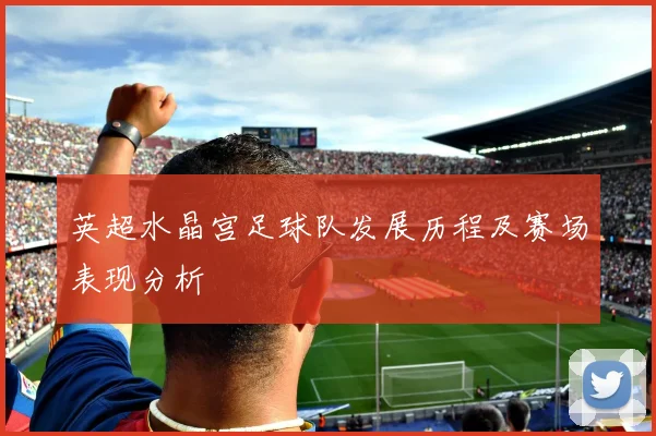 英超水晶宫足球队发展历程及赛场表现分析