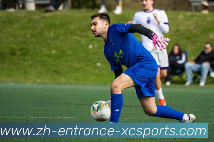 杏彩体育发展历程