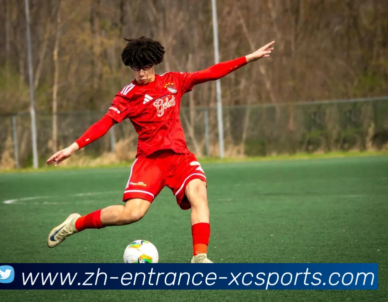 足球城邦赛制如何体现小国在足球组织管理上的高效协同